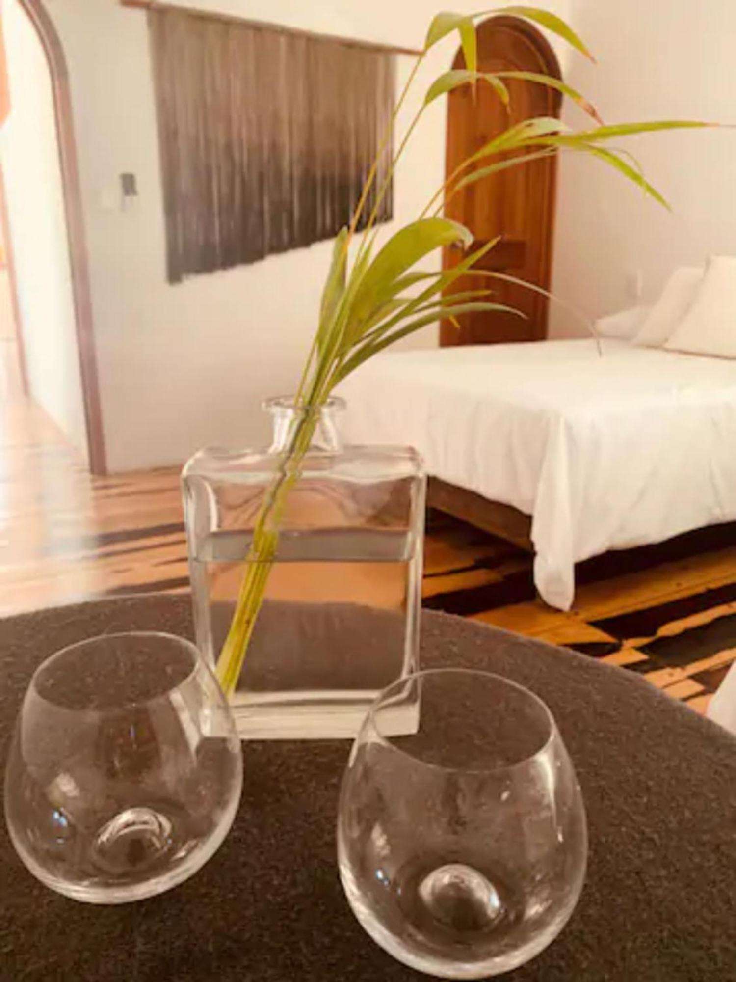 Apartments & Suites Madre Holbox Self-Check In エクステリア 写真