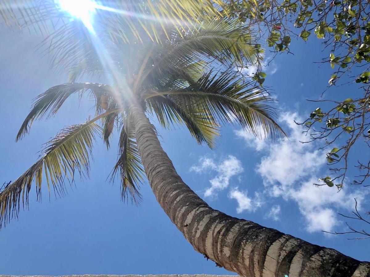 Apartments & Suites Madre Holbox Self-Check In エクステリア 写真